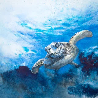 Workshop Advanced Watercolour Painting