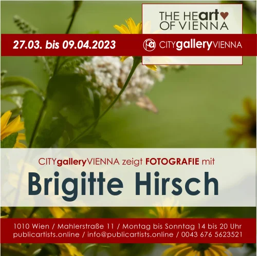 Brigitte Hirsch FOTOĞRAFÇILIĞI gösteriyor